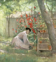 De tuin verzorgen