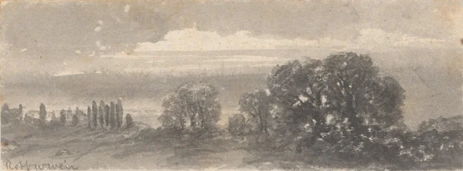 Landschap - Bomen