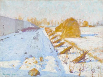 Winterzon en schaduw