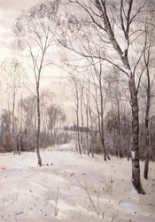Het Winterbos