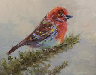 Die Vogel Van Het Lied, 2023