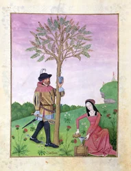 Ms Fr. Fv VI #1 fol.162v Sap Tappen uit een Boom, Illustratie uit het 