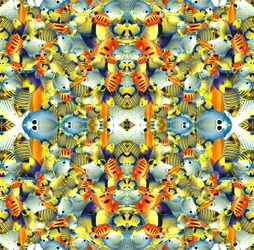 Kaleidoscoop Vis Tegel