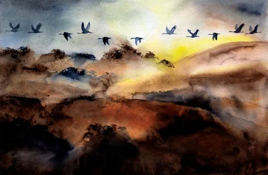 Vogels die over de heuvels vliegen