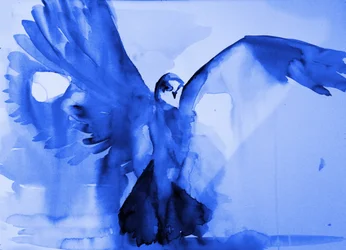 De vlucht van de blauwe duif