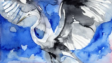 Blauwe reiger in vlucht