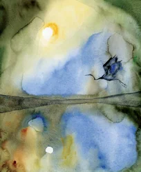 Etherische vogelweerspiegeling