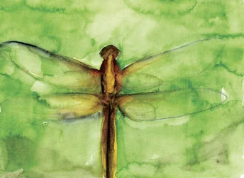 Groene libel in aquarel