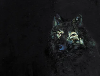 Mysterieuze zwarte wolf