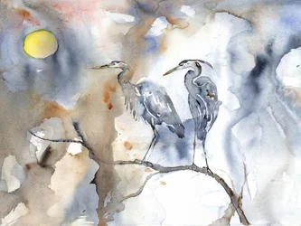Rustige reigers bij maanlicht