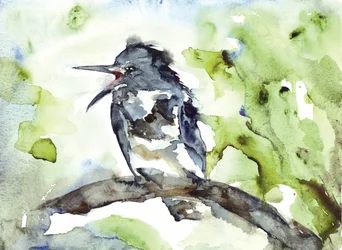 Zangvogel in aquarel