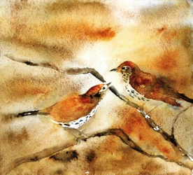 Vogels in aquarel op een tak