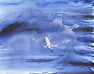 Witte reiger, blauwe lucht