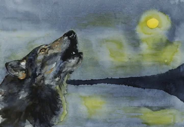 Een wolf huilt naar de maan