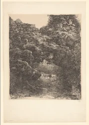 Rotslandschap met beek en waterval