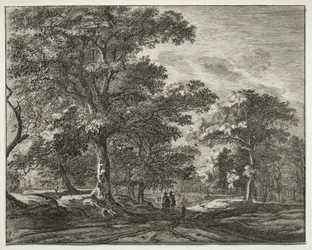 Zes gezichten in het Haagse bos (serie)