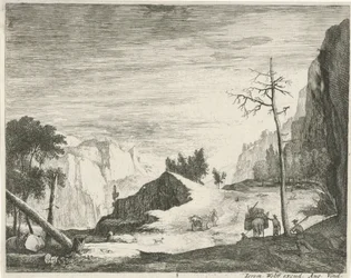 Weg in een berglandschap