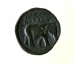 Carthaagse munt met een olifant. 3e of 2e eeuw v.Chr.