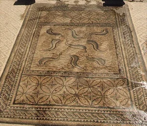 Dolfijnen, Romeins mozaïek uit het Huis van Orpheus, 3e eeuw na Chr.