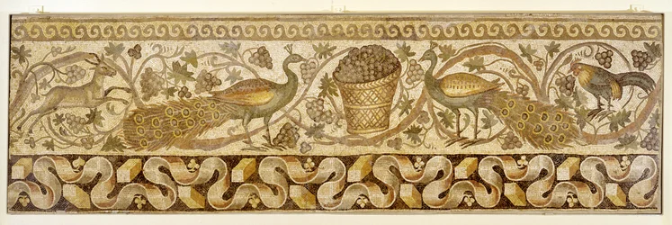 Mozaïek van een wijnrankrand met pauwen, Antiochië, 526-540