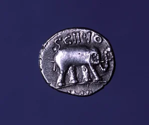 Zilveren munt met een olifant, fetisjdier van de Scipions. Lucius Caecilius Metellus veroverde de Carthaagse olifanten in 251 v.Chr. 47-46 v.Chr.