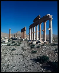 Zicht op de overblijfselen van Palmyra