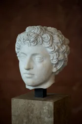 Hoofd van de Romeinse Keizer Marcus Aurelius als jongeling (121 - 180 AD) Marmer