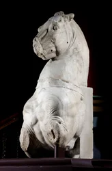 Voorkant van een paard (marmer)