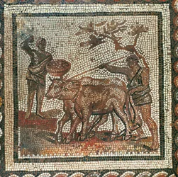 Ploegen en zaaien. Mozaïek (mozaïek)