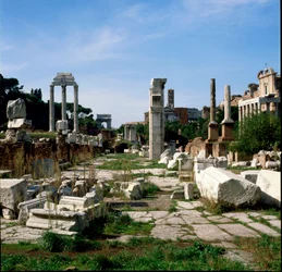 Romeinse kunst: uitzicht op het Forum (foro romano)