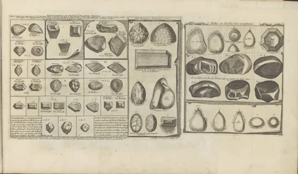 Diamanten, robijnen en parels