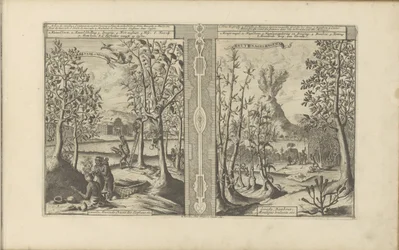 Kaneel, nootmuskaat, kruidnagel en bamboe