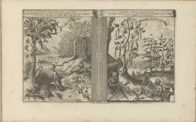 Planten, vogels en pepervelden