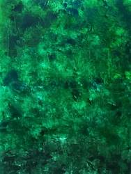 Weelderige groene textuur