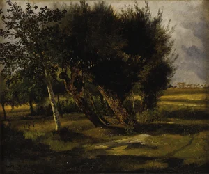 Boeketten van bomen in de wei