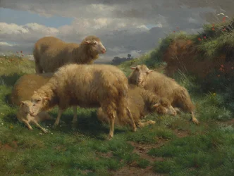 Een landschap met schapen