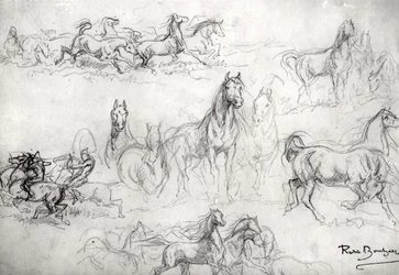 Studie van paarden