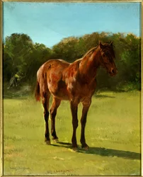 Studie van het bruine paard Cherry. Schilderij van Rosa Bonheur (1822-1899)