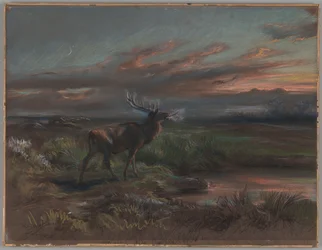 De roep van de Stag