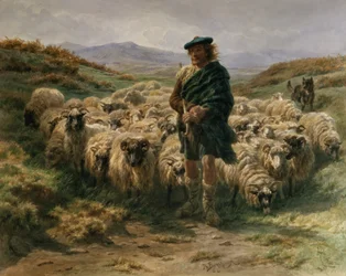 De herder uit de Hooglanden