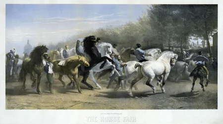De paardenmarkt