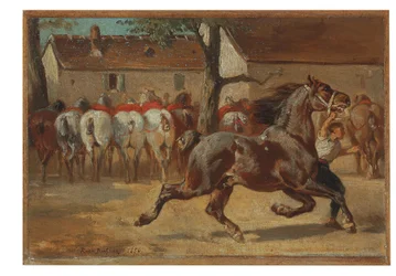 Een paard in draf