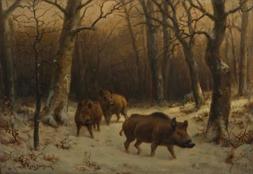 Wilde zwijnen in de sneeuw, c. 1872-1877