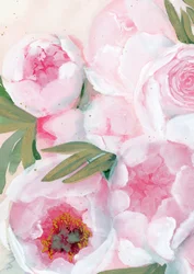 Roze pioenrozen