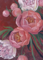 Elegante roze pioenrozen
