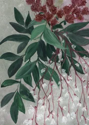 Groene bladeren, witte bloemen