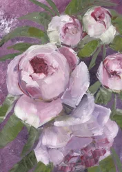Schilderachtige roze pioenrozen