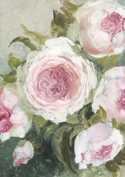 Zachtroze rozen