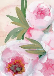 Bloeiende pioenrozen in aquarel
