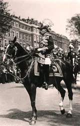 Veldmaarschalk Graaf Kitchener